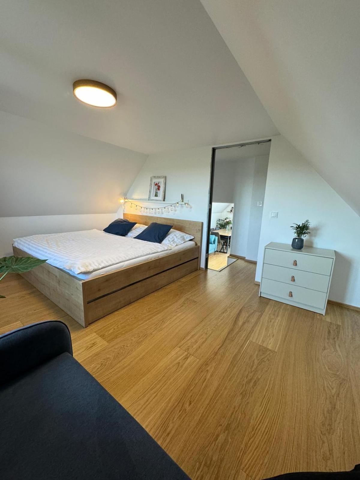 Nase Buda Holiday home *